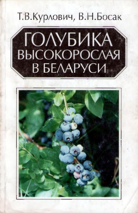 Голубика высокорослая в Беларуси — Т.В.Курлович